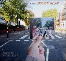 A New Abbey Road (A Tribute To The Beatles) (2009)